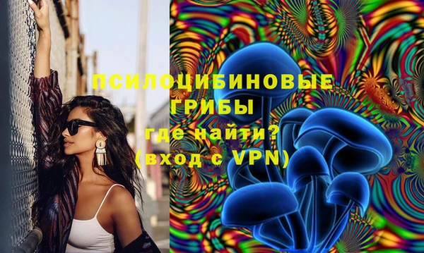 тгк Протвино