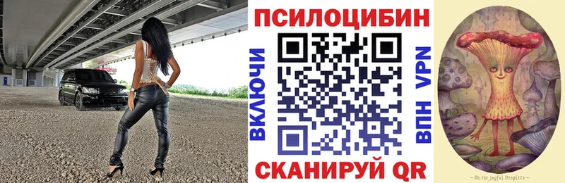 Купить  Тобольск  Галлюциногенные грибы GOLDEN TEACHER 